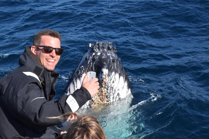 Sydney Whale-Watching by Speed Boat - The harbour stops: Bridge and Opera House viewing without slowing the day down