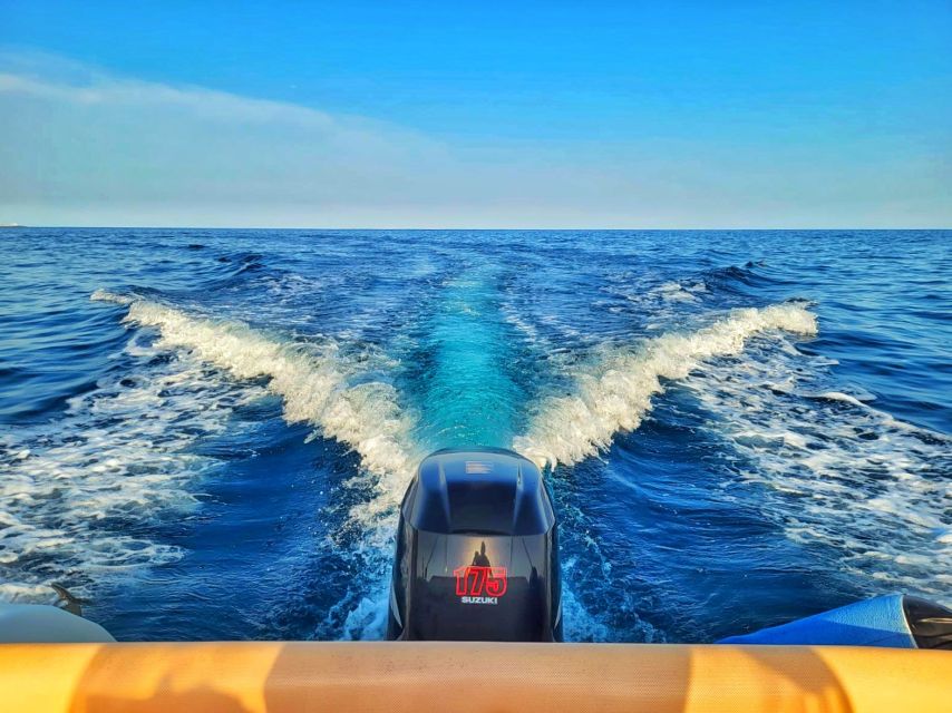 Taggia: Sanremo Sightseeing Speedboat Tour with Swim Stops - Who This Tour Suits (and Who Should Skip It)