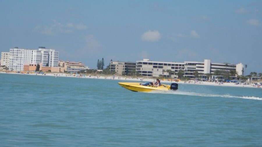 Tampa Bay 2-Hour Speedboat Adventure - Tampa Bay wildlife spotting at eye level