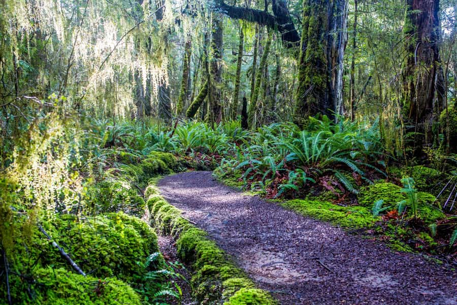 Te Anau: River Jet Boat and Bike Ride Tour with Local Guide - Should you book the Te Anau jet boat and Lake2Lake bike tour?