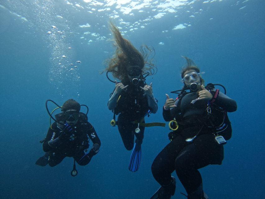 Tenerife: Puerto Colon Certified Scuba Dive by Speed Boat - Key highlights worth your attention