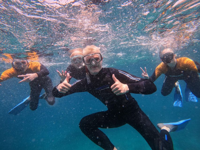 Tenerife: Puerto Colon Snorkel Safari by Speed Boat - Key things I’d plan for