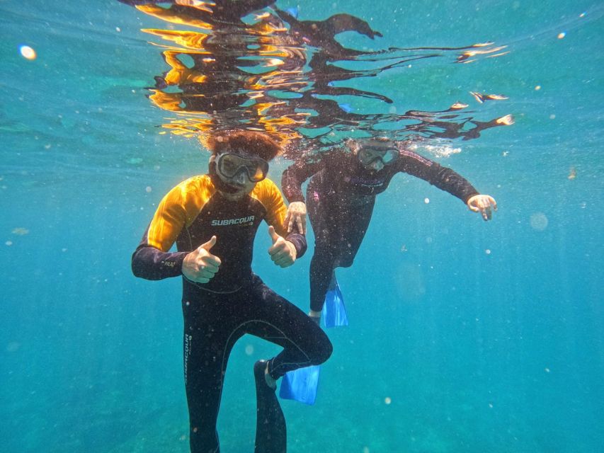 Tenerife: Puerto Colon Snorkel Safari by Speed Boat - Speedboat time: the 15-minute ride that sets up the whole tour