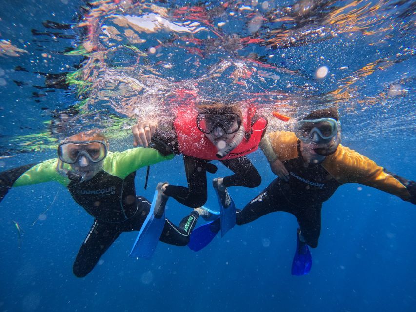 Tenerife: Puerto Colon Snorkel Safari by Speed Boat - Gear quality and comfort: wetsuits help, but check fit on arrival