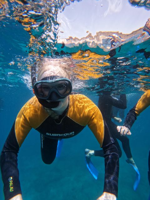 Tenerife: Puerto Colon Snorkel Safari by Speed Boat - Price and value: why $53 can make sense (if you want a short, coached session)