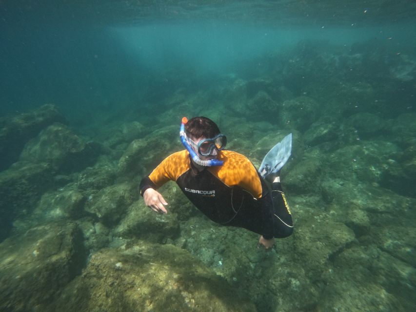 Tenerife: Puerto Colon Snorkel Safari by Speed Boat - The pre-boat safety briefing: quick, practical, and actually useful