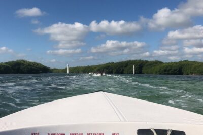 The Best Speedboat Tour In Cancun through Nichupte Lagoon, Snorkel included. - Wildlife Realism: Crocodile Spotting Without the Hype
