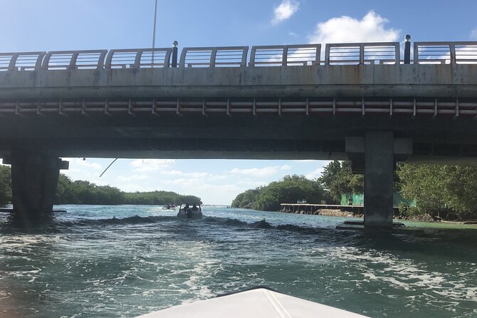 The Best Speedboat Tour In Cancun through Nichupte Lagoon, Snorkel included. - Who This Tour Fits Best (and Who Might Want Something Else)