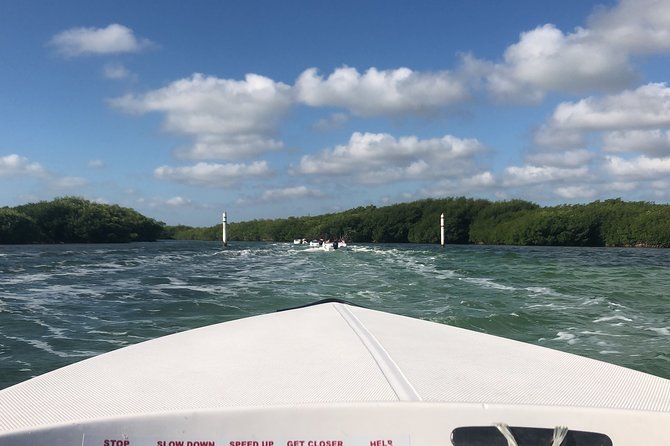 The Best Speedboat Tour In Cancun through Nichupte Lagoon, Snorkel included. - Wildlife Realism: Crocodile Spotting Without the Hype