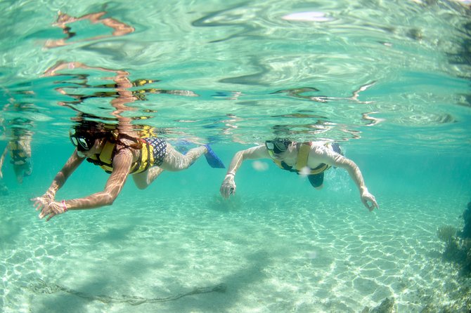 The most Intrepid Speedboat Adventure in Cancun Snorkel included - Timing and flow: how the 2 hours usually feel