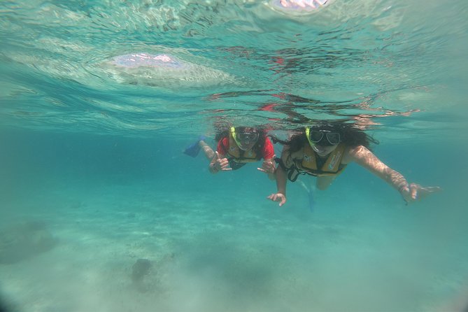 The most Intrepid Speedboat Adventure in Cancun Snorkel included - Guides, safety, and the kind of energy you’ll feel on the boat