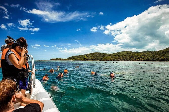The Pigs Island snorkeling trip from Koh Samui by Speedboat - Koh Taen snorkeling: coral color, fish life, and the visibility question