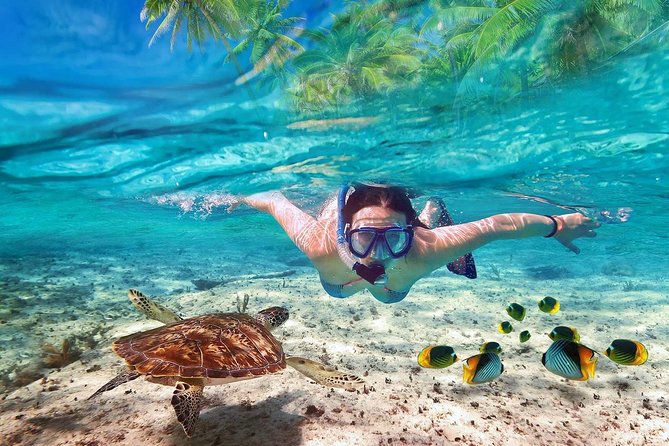 V.I.P Snorkeling & Fishing Tour ( Speed Boat ) Minimum 02 people - Key things to know before you go