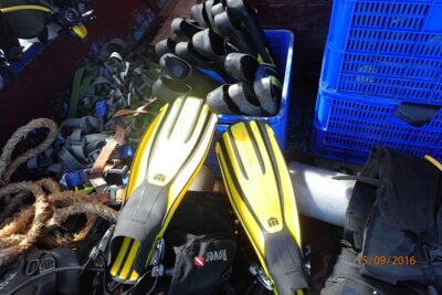 V.I.P Snorkeling & Fishing Tour ( Speed Boat ) Minimum 02 people - Hòn Mun Snorkeling: Marine Protected Area, Gear Included