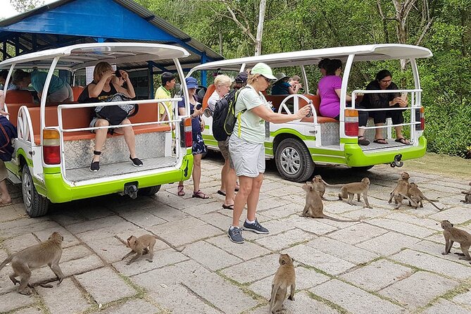 VIP Tour in Vam Sat: Can Gio Mangrove Forest by SpeedBoat - Why Can Gio Mangroves Feel Worth Leaving the City