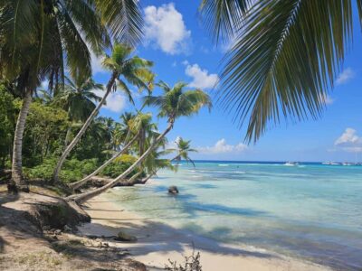 VIP tour to Saona Island by speedboat with a visit to paradise beaches - From Punta Cana area to La Romana: the drive and the quick Casa de Campo moment