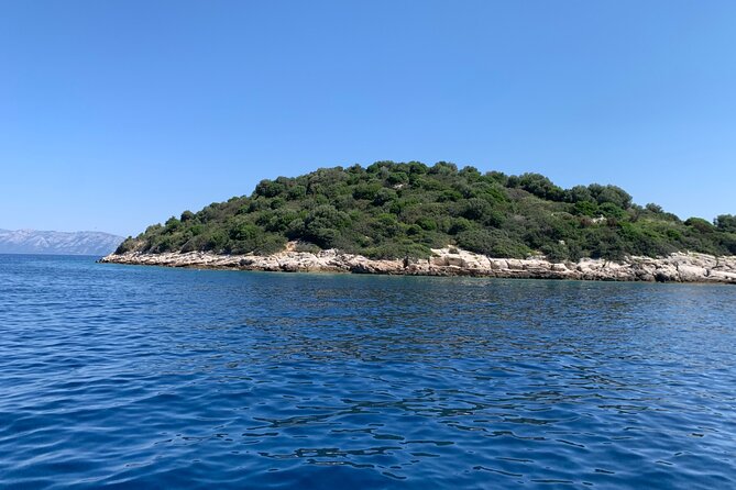 Visit magical Mljet Island with private speedboat - Independent exploration time: what you can do without chasing a group