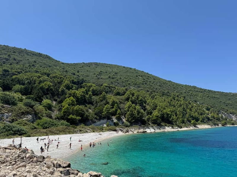 Vlore: Sazan Island, Haxhi Ali Cave & Karaburun by Speedboat - Haxhi Ali Cave: snorkeling in a surreal sea-cave setting