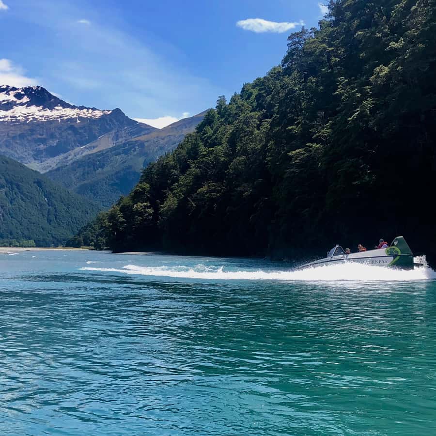 Wanaka: Jet Boat & Wilderness Walk - The 50-minute wilderness walk in Mount Aspiring