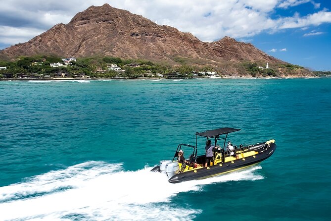 Whale Watching Adventure -Speed Boat & Small Group - Who this tour suits best (and who might want a backup plan)