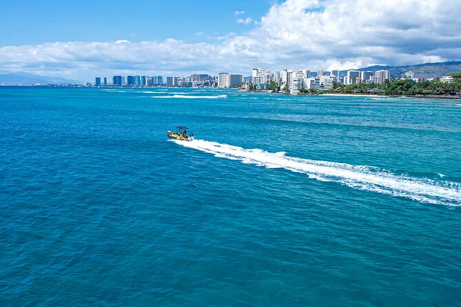 Whale Watching Adventure -Speed Boat & Small Group - Weather, timing, and how to set your expectations