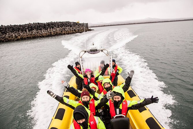 Whale Watching by RIB Speedboat from Downtown Reykjavik - Key highlights worth packing into your plan