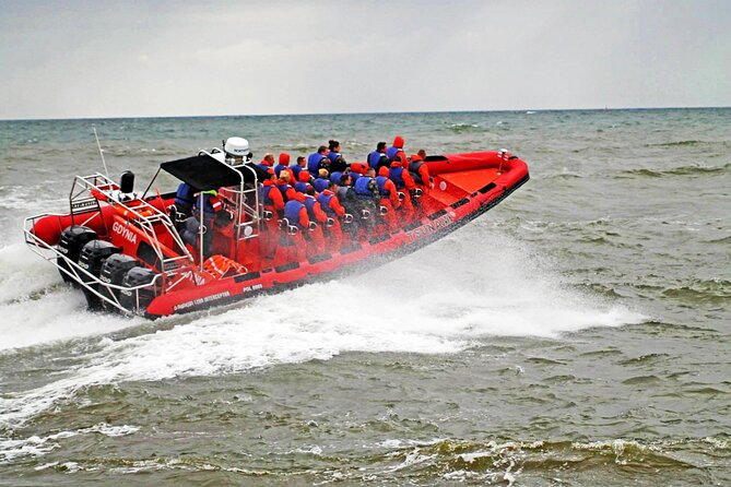 Whale Watching by RIB Speedboat from Downtown Reykjavik - The small-group setup on a 12-seater RIB