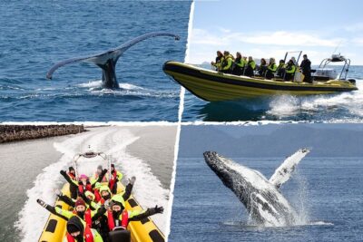 Whale Watching by RIB Speedboat from Downtown Reykjavik - Faxafloi Bay plus island stops: the geography you’ll actually see