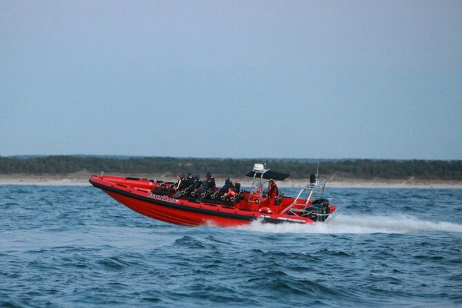 Whale Watching by RIB Speedboat from Downtown Reykjavik - Price and value: is $145 for a 2-hour RIB whale tour a fair deal?
