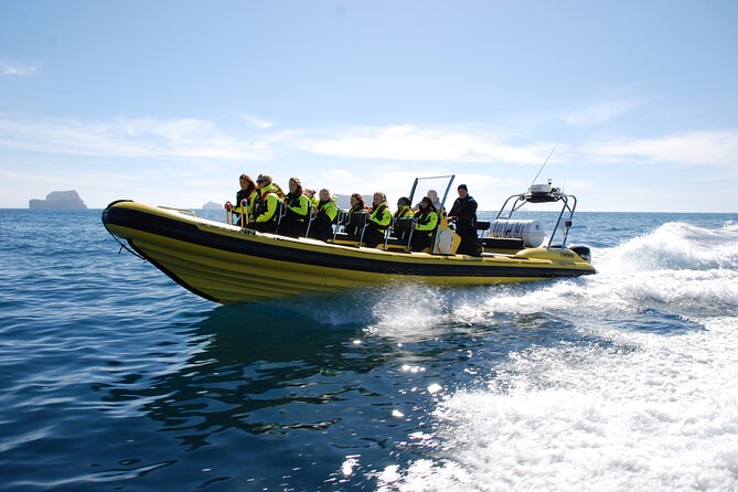 Whale Watching by RIB Speedboat from Downtown Reykjavik - Weather and sea conditions: plan like the ocean runs the schedule