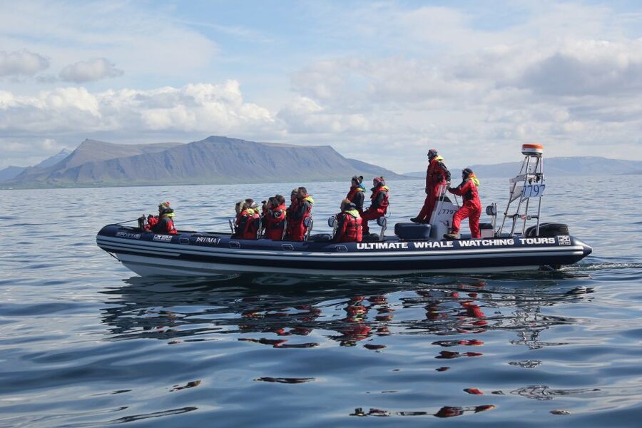 Whale Watching in Reykjavik by Speedboat - Comfort on a high-speed ride: shock seats and warm overalls