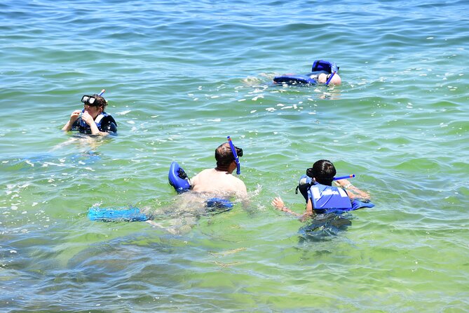 Yelapa Escape & Snorkeling in Puerto Vallarta by Speedboat - The guided snorkeling session: what you might actually see