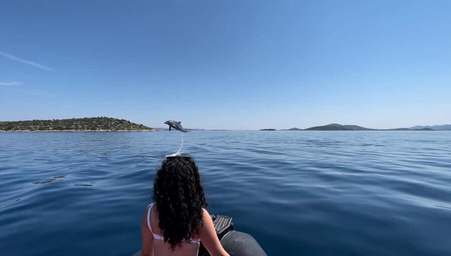 Zadar: 3-Island Speedboat Tour with Snorkeling and Drinks - Why This Zadar Speedboat Tour Works So Well