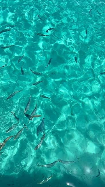 Zadar:3 Pearls of Zadar Speedboat Tour with Wine & Fruit - Comfort Tips That Actually Help on a Speedboat Day