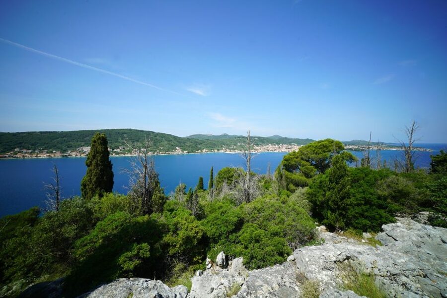Zadar: Guided Speedboat Tour with Food, Oil & Wine Tasting - Back to Preko for a Longer Break: Swim, Shop, or Just Hang Out