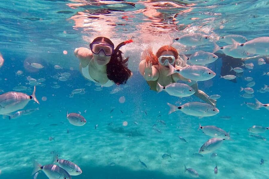 Zadar: Island-Hopping, Swimming & Snorkeling SpeedBoat Tour - Speedboat day plan: how the 4 hours actually run