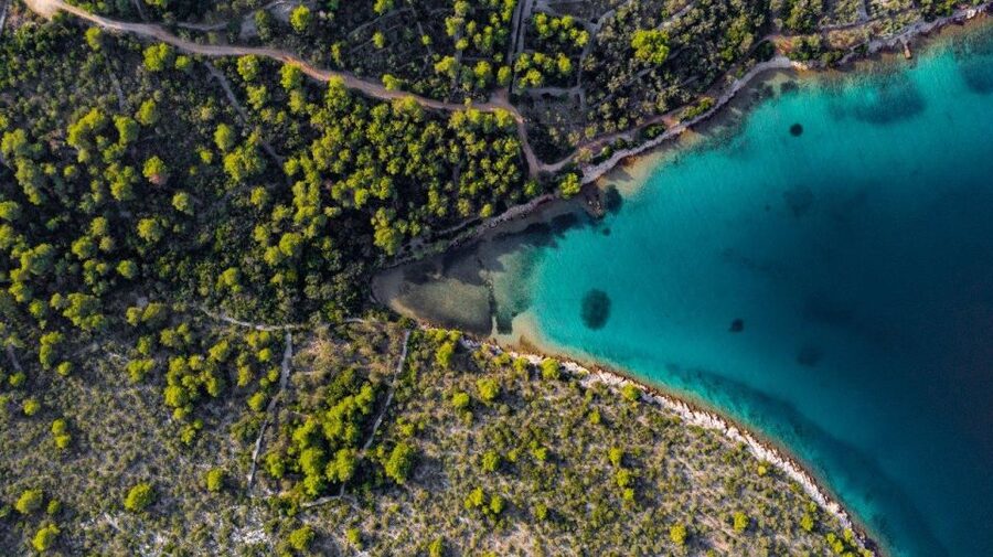 Zadar: Private Half Day Speedboat Tour - From Marina Borik to the moment the city disappears