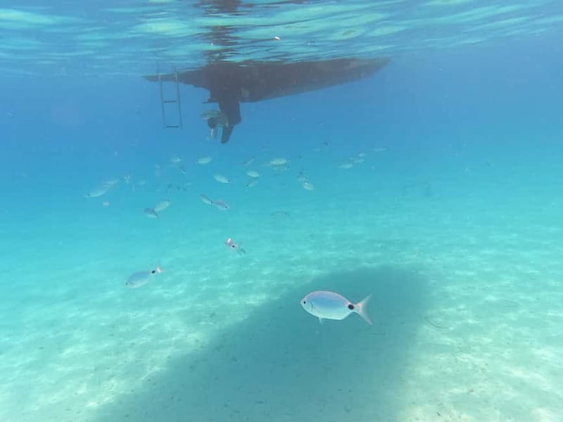 Zadar: Private SpeedBoat Tour to Islands - Drinks Included - Price for $470 per group (up to 10): how to judge the value