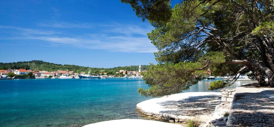 Zadar: Sakarun Beach & Dugi Island Speedboat Tour w/Diving - Pine-Tree Cove Swimming on Dugi Otok: Where “Time to Float” Actually Happens