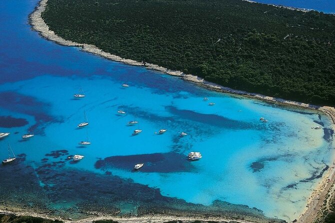 Zadar: Sakarun - Dugi otok Luxury Speedboat Tour with Lunch - Sakarun Beach: Shallow Water, Pine Shade, and a Weird-But-Normal Seaweed Look